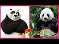 Kung Fu Panda IN REAL LIFE 💥 Characters (Kung Fu Panda 3, 2, 1) 👉@WANA Plus