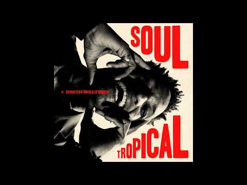 David Walters - Soul Tropical (Official Audio)