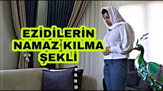 Ezidilerin Namaz Kılma Şekli Resimi