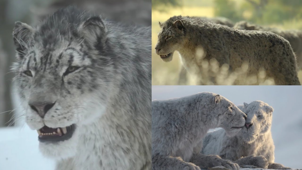 Prehistoric Planet: Ice Age [2025] - Homotherium Screen Time 