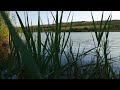 “The Calmest Lake I’ve Ever Found – Pure Nature Relaxation”