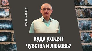 Куда уходят чувства и любовь? Торсунов лекции