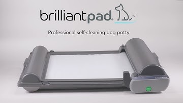 Assemble Your BrilliantPad