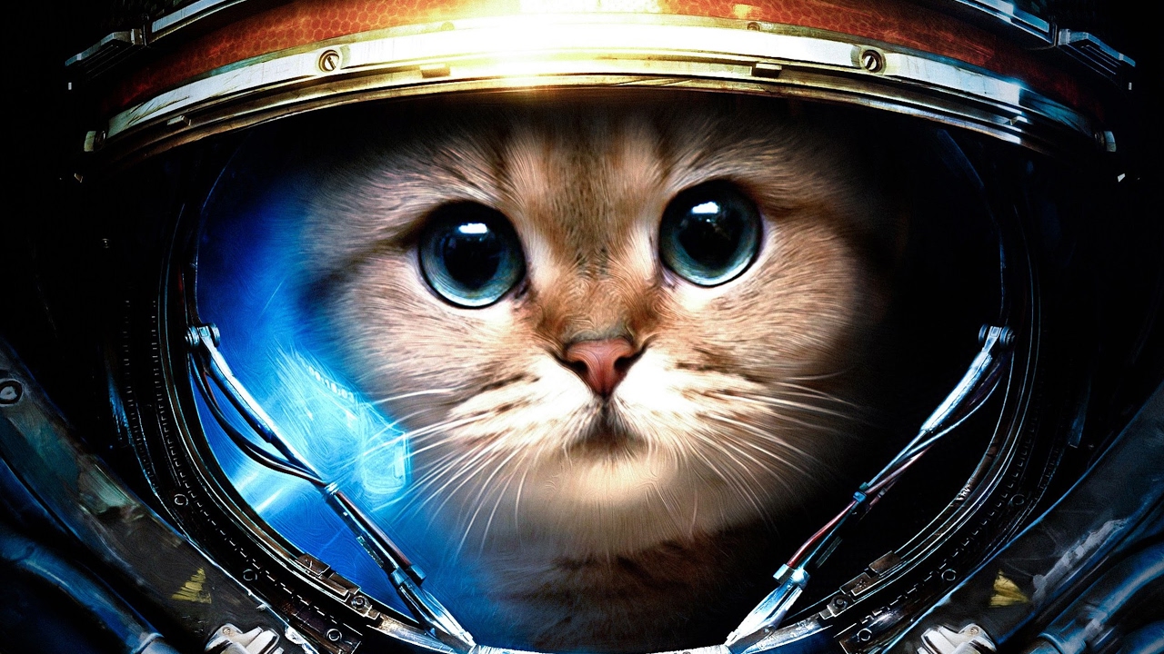 Warcliff Coil and factions