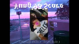¥UNG'93'$CARS - Aesthxtic Kødeia