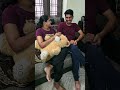couple comedy videos | wife and husband funny videos #youtubeshorts #comedy #shorts #funnyvideo