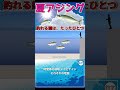 【夏アジング】時間帯の戦略 デイとナイト、それぞれの理屈