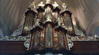 Video thumbnail of "Psalm 84 op het orgel van de Grote Kerk te Bolsward"