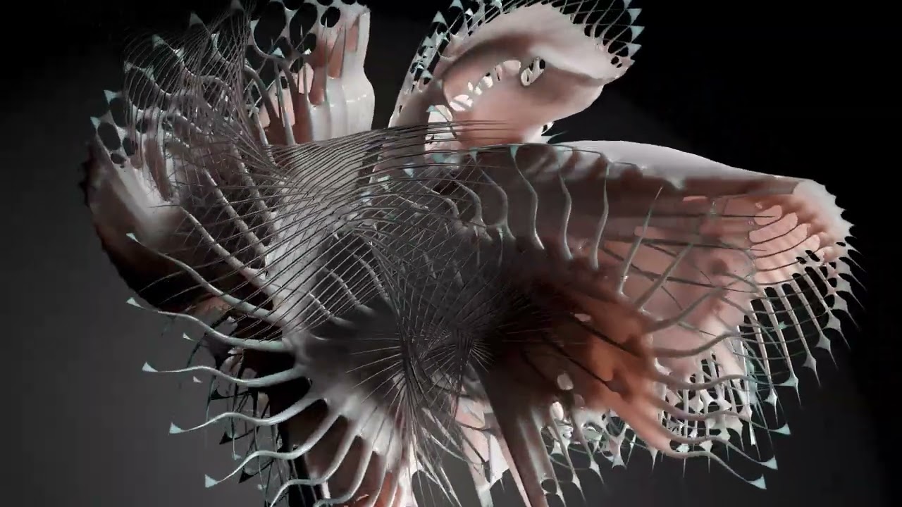 Echonomist - Dominator (Toto Chiavetta Remix) (Official Visualizer)