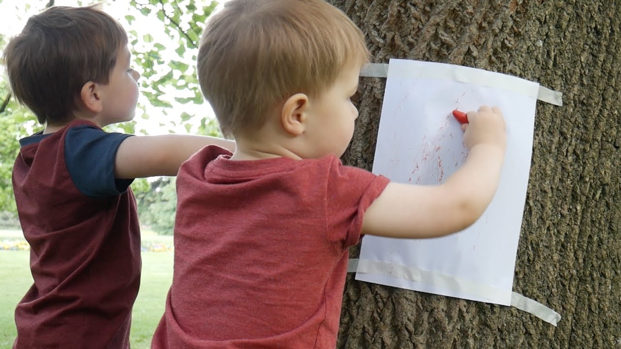 Tree Rubbing Activity How To Do Tree Bark Rubbings
