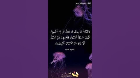 تلاوة مبكية من سورة الزمر - القارئ: مصطفى جيد