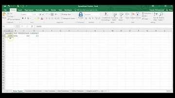 Spreadsheet Skills (1/7) Data Types in EXCEL [Edexcel iGCSE ICT]