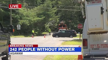 Tree falls on pole knocking down wires, and power to nearly 250 customers