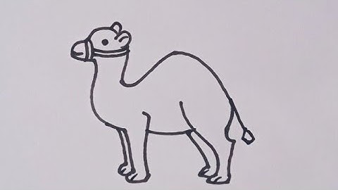 How to draw Camel 🐪/Camel drawing easy step by step/Animal drawing