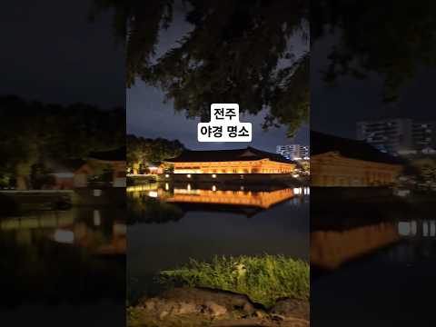 전주 가볼만한 곳 전주 덕진공원 야경명소 #조매꾸투어