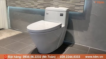 TDM.VN | Review bồn cầu rửa cơ Inax AC-909R/CW-S32VN (AC 909R CW S32VN) Bàn cầu 1 khối nắp rửa cơ