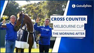 Team Godolphin relive Cross Counter's Melbourne Cup win