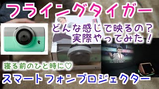 フライングタイガー スマートフォンプロジェクター 1600円 どんな感じで映るの 実際やってみた Youtube フライングタイガー スマートフォンプロジェクター 1600円 どんな感じで映るの 実際やってみた Youtube