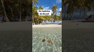 San blas , Panama #shorts