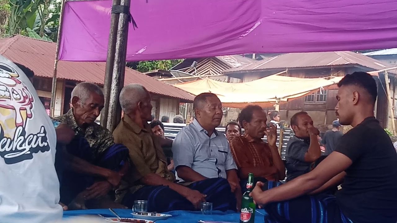 Antar Belis Perkawinan Ende Lio Tinabani Vs Liakamba