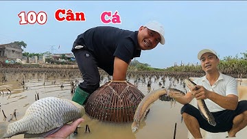 100 Cân Cá Bị Bỏ Quên Và Vụ Xây Tường Nhà Bị Mắng Rất Nhiều...