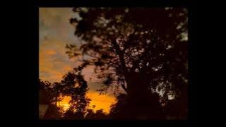 Story WA Senja //Runtuh