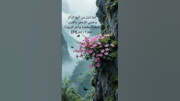 إنما تنذرمن اتبع الذكروخشى الرحمن بالغيب | سورة يس | شيخ رعد الكردي #رعد_الكردي#اكسبلور #raadalkurdy