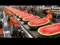 Inside a Modern Watermelon Processing Plant | Full Factory Process | Process Vision