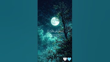 {نبِّئْ عِبَادِي أَنِّي أَنَا الْغَفُورُ الرَّحِيمُ}[الحجر:49]🤍هزاع البلوشي تلاوة جميلة#quran#فلسطين