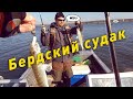 Раздача судака в Бердске