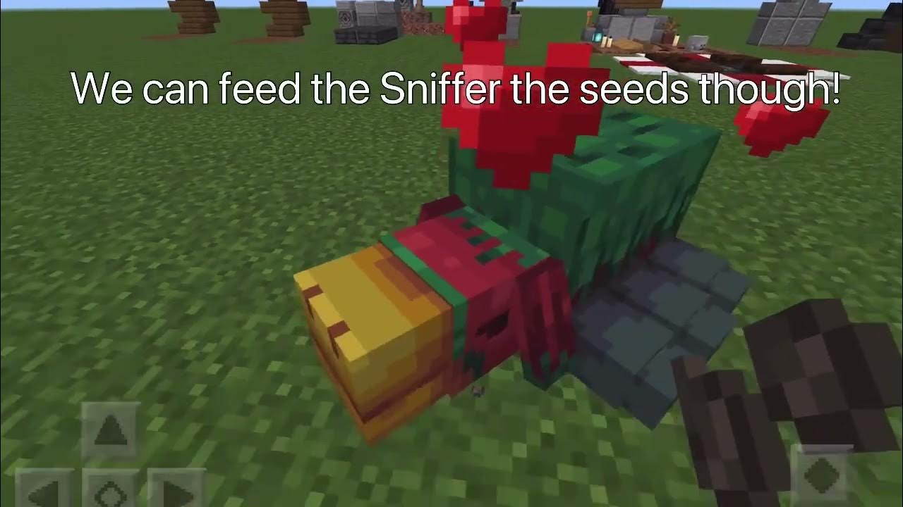 Sniffer Addon! Minecraft Bedrock YouTube