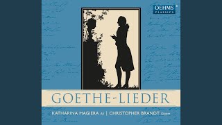 Die Liebende Schreibt Arr. C. Brandt For Voice And Guitar