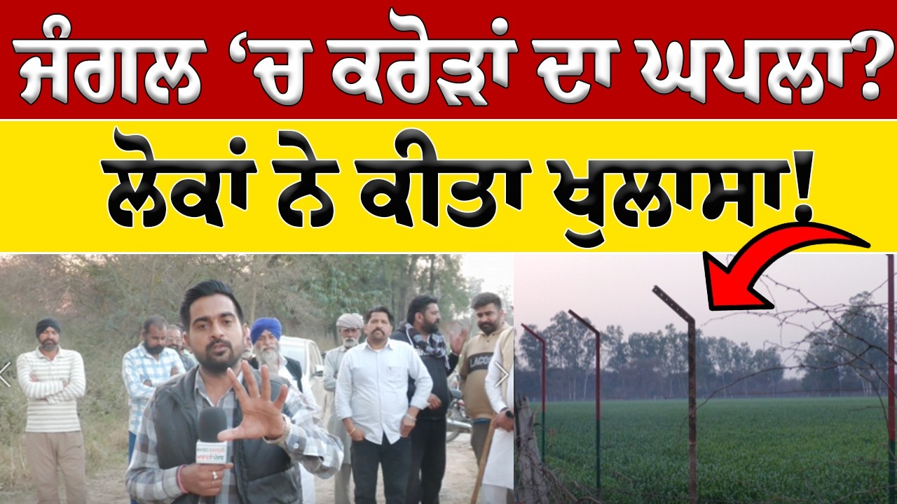 ਪੰਜਾਬ ਦੇ ਸਭ ਤੋਂ ਵੱਡੇ ਜੰਗਲ ‘ਚ ਕਰੋੜਾਂ ਦਾ ਘਪਲਾ? ਲੋਕਾਂ ਨੇ ਕੀਤਾ ਵੱਡਾ ਖੁਲਾਸਾ | Special Report