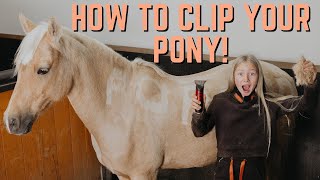 HOW TO CLIP YOUR PONY! POPCORN'S WINTER HAIRCUT!