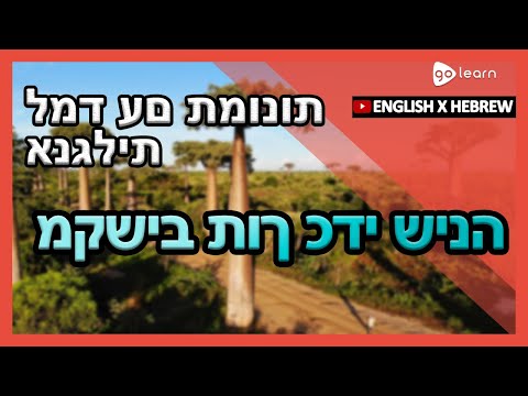 למד עם תמונות אנגלית אוצר מילים אנגלית מקשיב תוך כדי שינה Golearn 