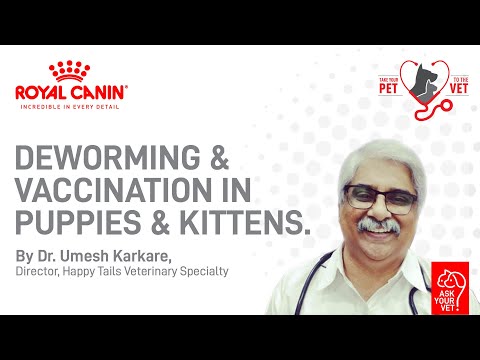 Royal Canin Ask Your Vet Session: Deworming and Vaccination in Puppies & Kittens