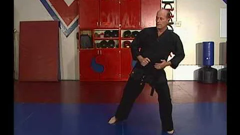Steve Sexton Hapkido Volume 1 of 3