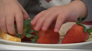 What to do if your child is a picky eater?