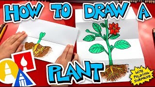 how to draw a plant with folding surprise