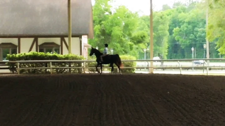 My horse show!
