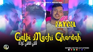 Cheb Faycel Cholé | Galbi Machi Ghardah قلبي ماشي غرضه | Clip Officiel 2023