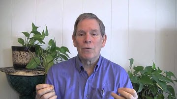 Pattern Play Math, a Right Brain Math Approach for Teachers