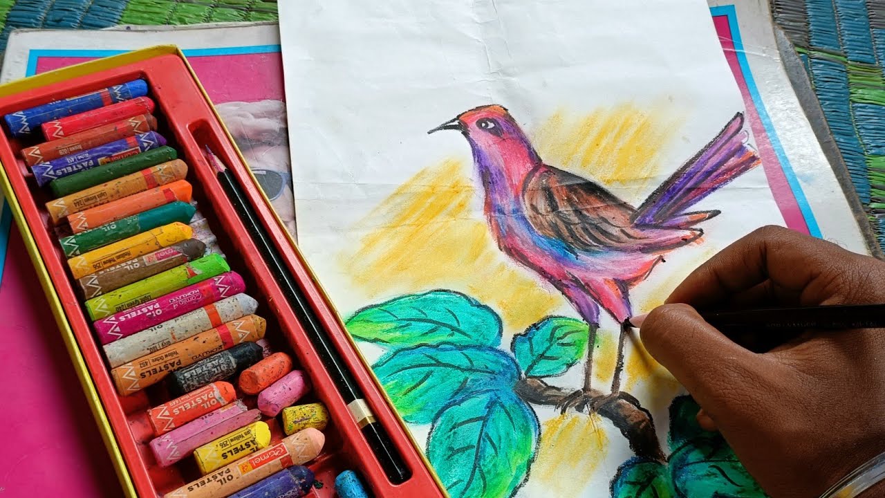 Bird drawing with soft oil pastel // How to a beautiful bird with colour #Shorts