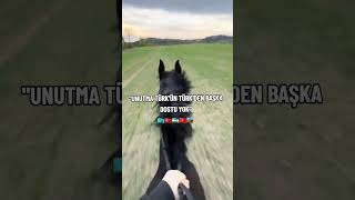 Var Olsun Ülkücü Türk Gençliği 🇹🇷🐺