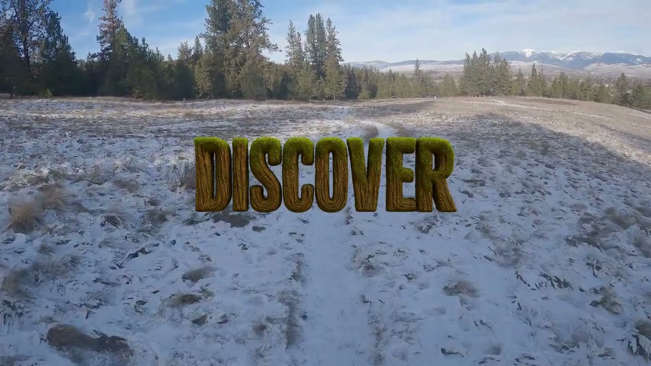 Blue Mountain Snow Hike Day