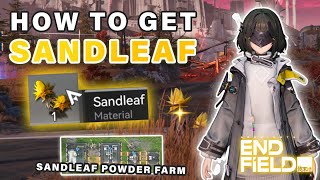 Where to find Sandleaf & AUTO Farm Build for Sandleaf Powder ► Arknights Endfield screenshot 3