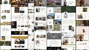 create a professional wordpress website design and development with elementor pro