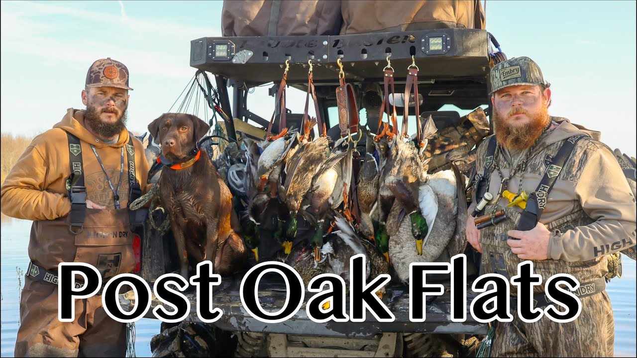 DUCK Hunting a Flooded Milo Field | POST OAK FLATS | North East Texas