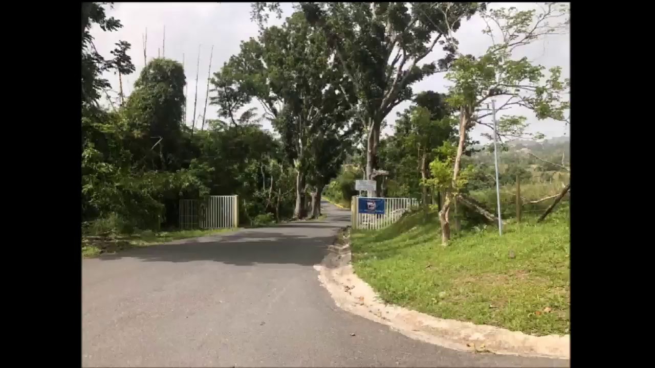 CSAA UNIIDOS EN ORACION A UN AÑO DE MARIA