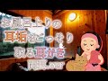 【ASMR Ear Cleaning 】お風呂上りの耳垢をごっそり取る耳かき【両耳版】